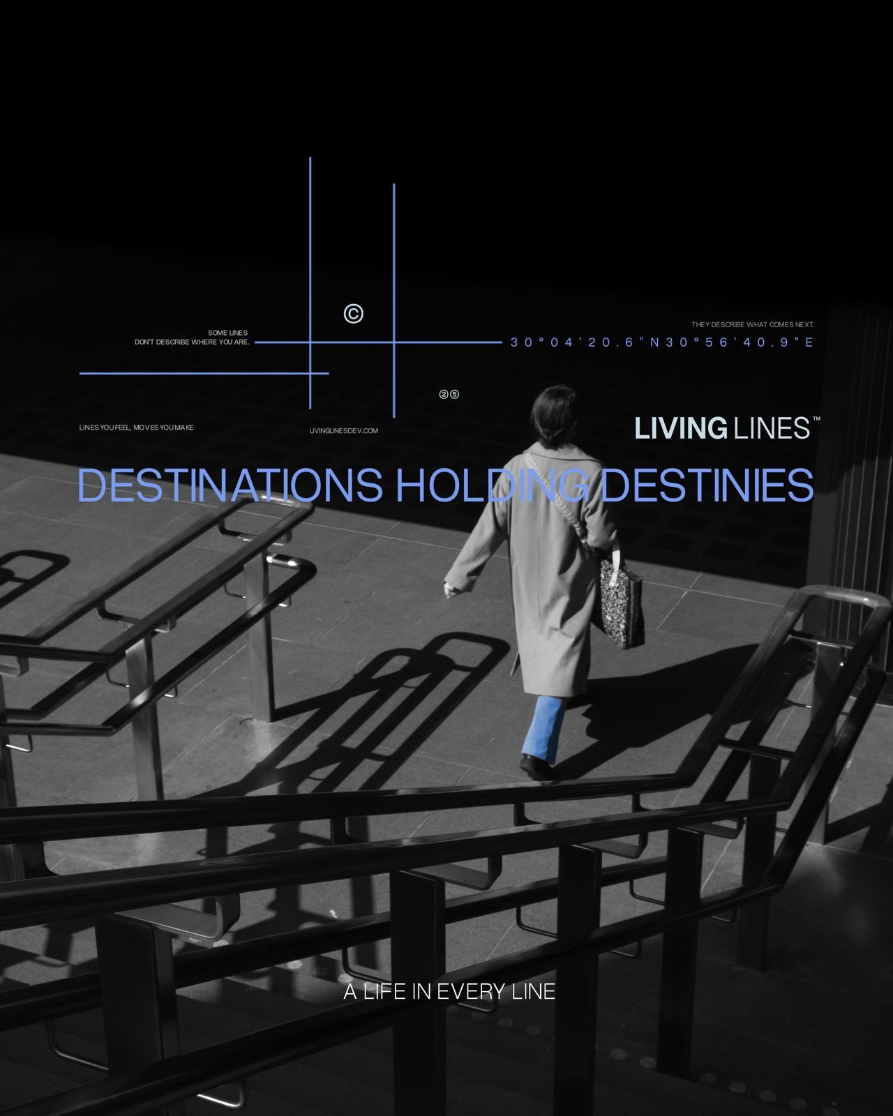 صورة المشروع